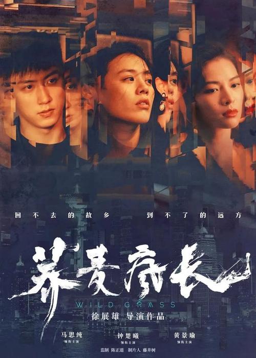 圭尔夫大学毕业证电子图